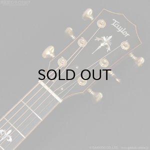 画像12: Taylor　2017 914ce SB [中古品]