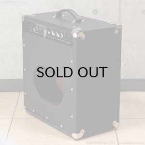 画像5: AKG Sound Design Overdrive Reverb 22W - 1 x 12” Att Combo ギターアンプ コンボ