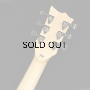 画像8: Edwards　E-VIPER-1H SNAT [Satin Natural]