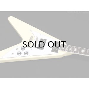 画像5: Edwards　E-FV-LTD VW [Vintage White]