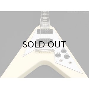 画像4: Edwards　E-FV-LTD VW [Vintage White]