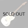 Bacchus　Global Series BSM-STD/RSM [Olympic White] [生産完了]