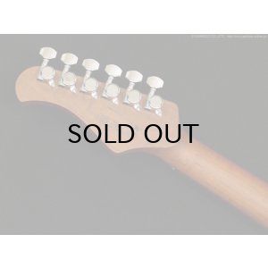 画像7: Bacchus　Global Series BSM-STD/RSM [Olympic White] [生産完了]