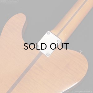 画像12: H.S.Anderson HS-1 Mad Cat #25017