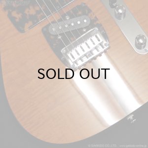 画像5: H.S.Anderson　HS-1 Mad Cat #25015