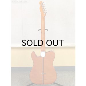 画像17: H.S.Anderson HS-1 Mad Cat #25017