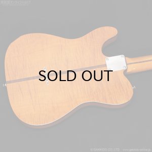 画像13: H.S.Anderson　HS-1 Mad Cat #25015