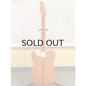 画像17: H.S.Anderson　HS-1 Mad Cat #25015