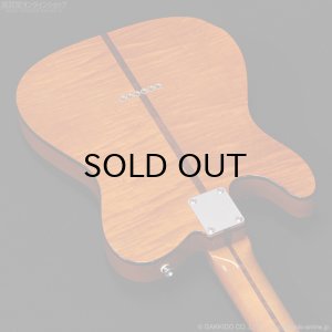 画像14: H.S.Anderson　HS-1 Mad Cat #25015