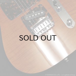 画像5: H.S.Anderson HS-1 Mad Cat #25017