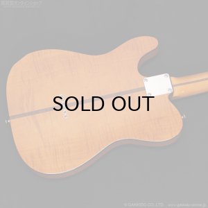 画像13: H.S.Anderson HS-1 Mad Cat #25017