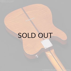 画像14: H.S.Anderson HS-1 Mad Cat #25017