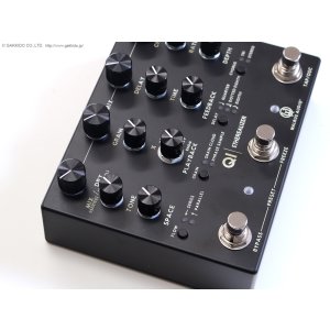 画像7: Walrus Audio　Qi Etherealizer [Black]