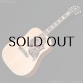Gibson　Hummingbird Faded [Natural] [特価品]