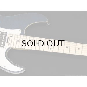 画像6: SCHECTER　SD-2-24-AL BLU/M [See-thru Blue]