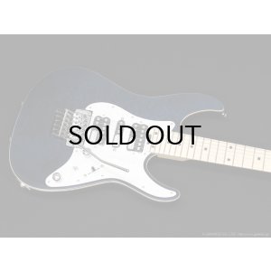 画像5: SCHECTER　SD-2-24-AL BLU/M [See-thru Blue]