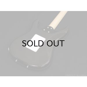 画像10: SCHECTER　SD-2-24-AL BLU/M [See-thru Blue]