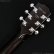 画像11: Gibson　L-00 Standard [Vintage Sunburst]