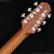 画像10: K.Yairi　TRY Cuban Tres Guitar トレス・ギター (10)