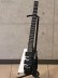 画像5: Spirit by STEINBERGER　2018 GT-PRO Deluxe Yin Yang [中古品] (5)