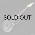 Schecter　Japan Original Line OL-PT-2H-VTR [Satin Black Metallic]
