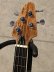 画像7: Tiny Bass　TBP-3450NSM DX-3 Line PBタイプ フレットレスベース [中古品] (7)