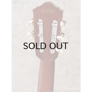 画像9: Ibanez　FRH10N IBF Electro-Nylon [Indigo Blue Metallic Flat]