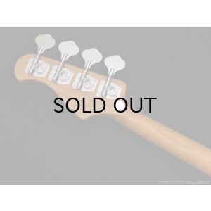 画像6: Bacchus　Universe Series WJB-1DX RSM/M [French Green Metallic]