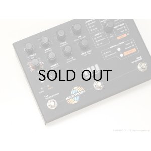 画像5: Hologram Electronics　Microcosm [Black Colorway] 直輸入品