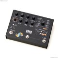 Hologram Electronics　Microcosm [Black Colorway] 直輸入品