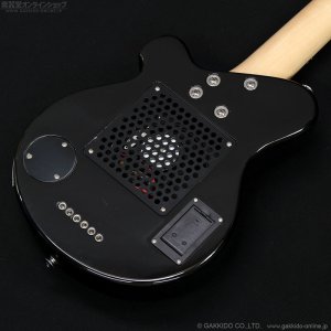 画像5: Pignose　PGG-200FP2 BK
