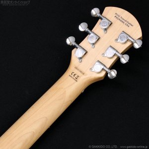 画像8: Pignose　PGG-200FP2 WH