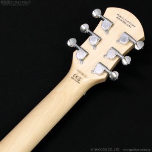 画像8: Pignose　PGG-200FP2 BK