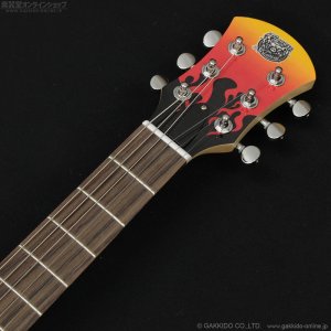 画像7: Pignose　PGG-200FP2 BK