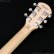 画像8: Pignose　PGG-200FP1 WH