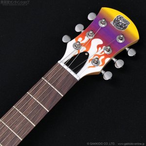 画像7: Pignose　PGG-200FP2 WH