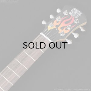 画像7: Pignose　PGG-200FP1 BK