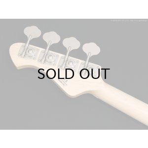 画像6: Aria Pro II　RSB-800 [Charcoal Metallic]