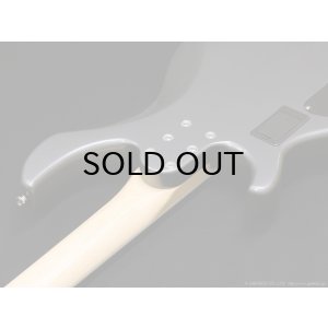 画像7: Aria Pro II　RSB-800 [Charcoal Metallic]