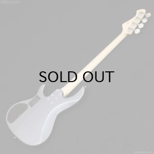 画像8: Aria Pro II　RSB-800 [Charcoal Metallic]