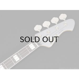 画像5: Aria Pro II　RSB-800 [Charcoal Metallic]