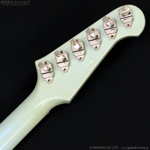 画像12: Gibson Custom Shop　1963 Firebird V With Maestro Vibrola Heavy Aged [Antique Frost Blue]