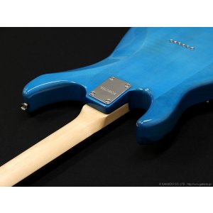 画像7: Schecter　OL-BH-FM-FXD [Indigo Light Blue]