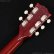 画像12: Gibson　2022 Les Paul Special [Vintage Cherry] [中古品]