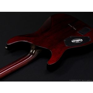 画像8: Schecter　Diamond Series Hellraiser C-1 [Black Cherry]