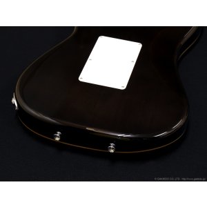 画像10: SCHECTER　SD-2-24-AL GRN/M [See-thru Green]