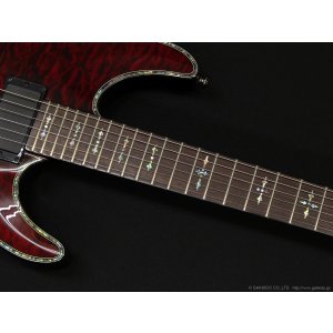 画像5: Schecter　Diamond Series Hellraiser C-1 [Black Cherry]