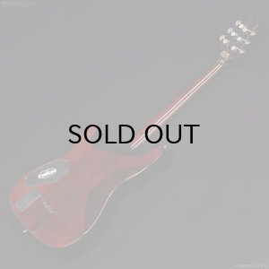 画像10: Schecter　Diamond Series Hellraiser C-1 [Black Cherry]