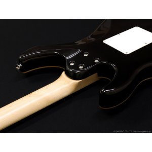 画像9: SCHECTER　SD-2-24-AL GRN/M [See-thru Green]