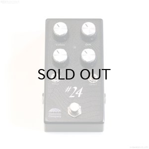 画像3: Umbrella Company　#24